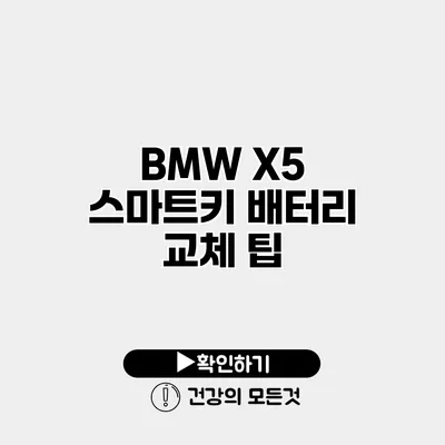 BMW X5 스마트키 배터리 교체 팁