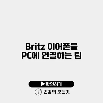 Britz 이어폰을 PC에 연결하는 팁