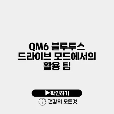 QM6 블루투스 드라이브 모드에서의 활용 팁