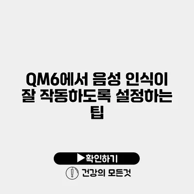 QM6에서 음성 인식이 잘 작동하도록 설정하는 팁