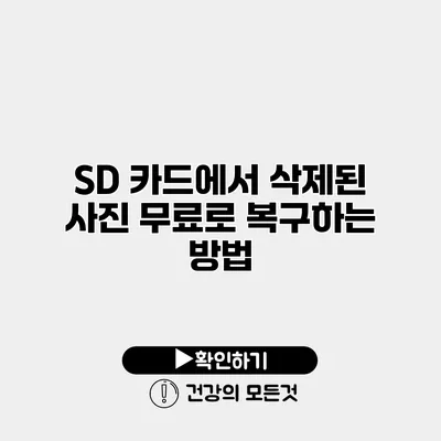 SD 카드에서 삭제된 사진 무료로 복구하는 방법