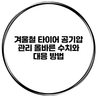 겨울철 타이어 공기압 관리: 올바른 수치와 대응 방법