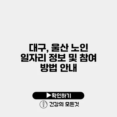 대구, 울산 노인 일자리 정보 및 참여 방법 안내
