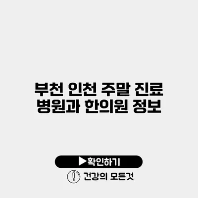 부천 인천 주말 진료 병원과 한의원 정보