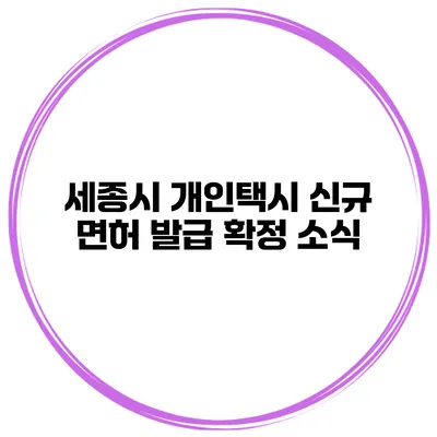 세종시 개인택시 신규 면허 발급 확정 소식