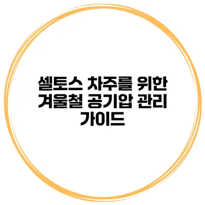 셀토스 차주를 위한 겨울철 공기압 관리 가이드