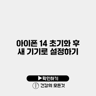 아이폰 14 초기화 후 새 기기로 설정하기