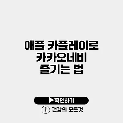애플 카플레이로 카카오네비 즐기는 법
