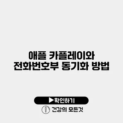 애플 카플레이와 전화번호부 동기화 방법