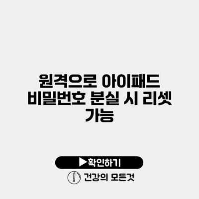 원격으로 아이패드 비밀번호 분실 시 리셋 가능