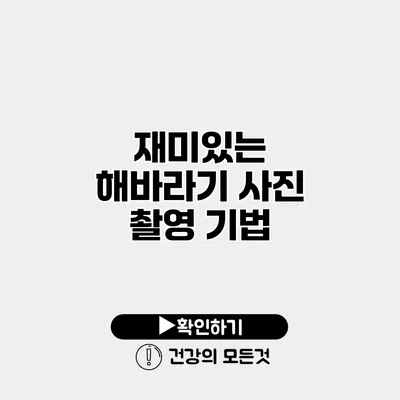 재미있는 해바라기 사진 촬영 기법