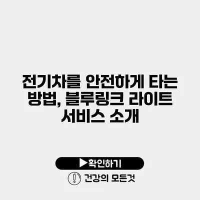 전기차를 안전하게 타는 방법, 블루링크 라이트 서비스 소개