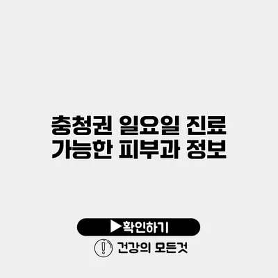 충청권 일요일 진료 가능한 피부과 정보