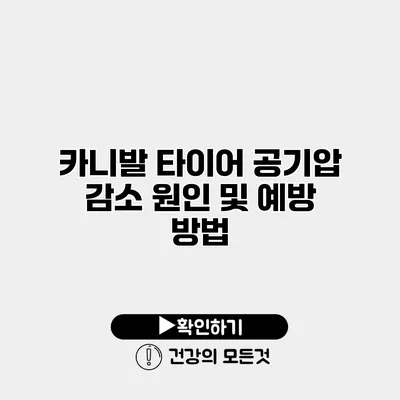 카니발 타이어 공기압 감소 원인 및 예방 방법