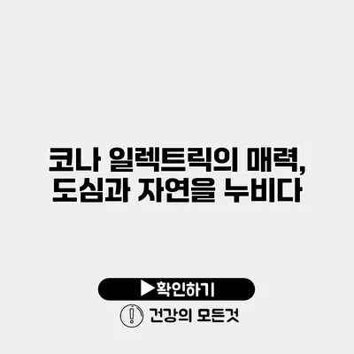 코나 일렉트릭의 매력, 도심과 자연을 누비다