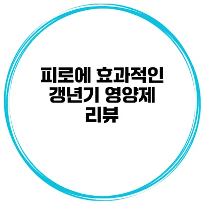 피로에 효과적인 갱년기 영양제 리뷰