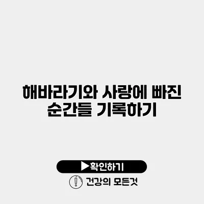 해바라기와 사랑에 빠진 순간들 기록하기